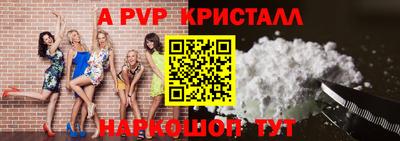 spice Кингисепп