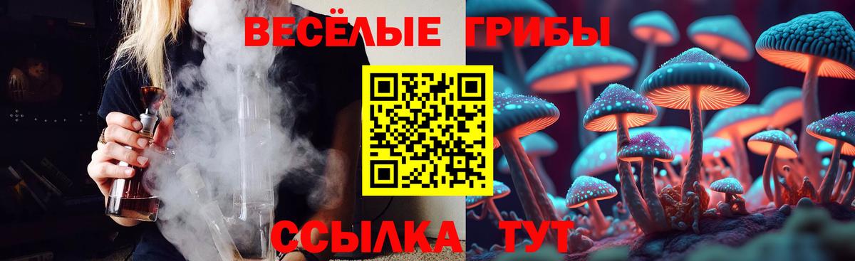 Псилоцибиновые грибы мицелий  Вход с VPN  где найти наркотики  Заречный 
